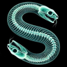 Talk About Strange logo